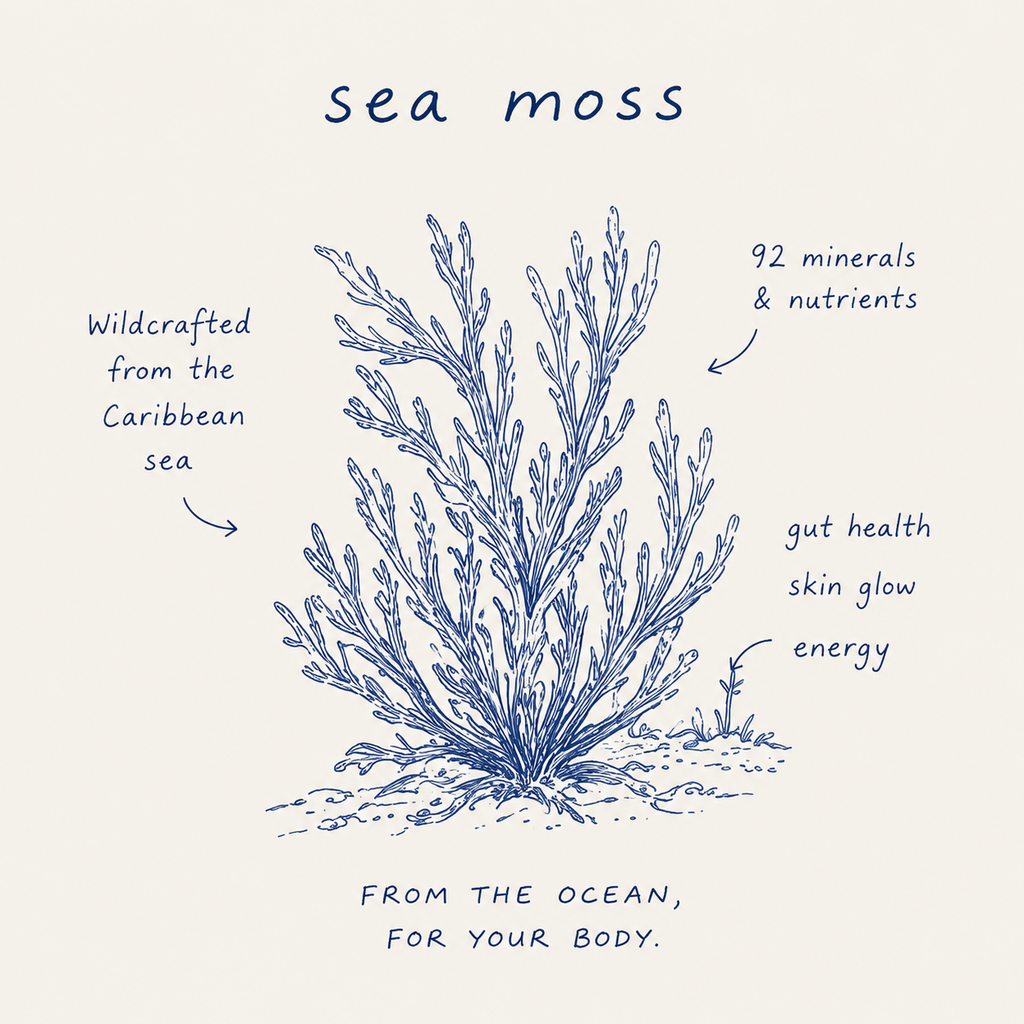 Glow Sea Moss & Gut Reset bundle